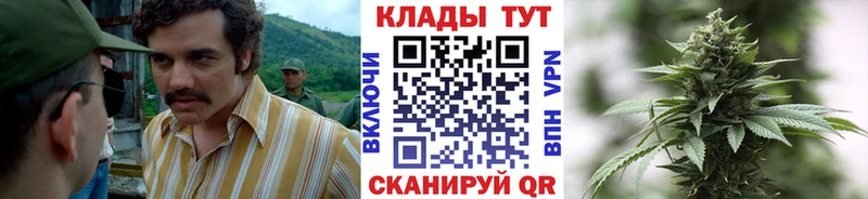 Купить закладку Бошки Шишки  Меф  Кокаин  ГАШИШ  Красный Кут
