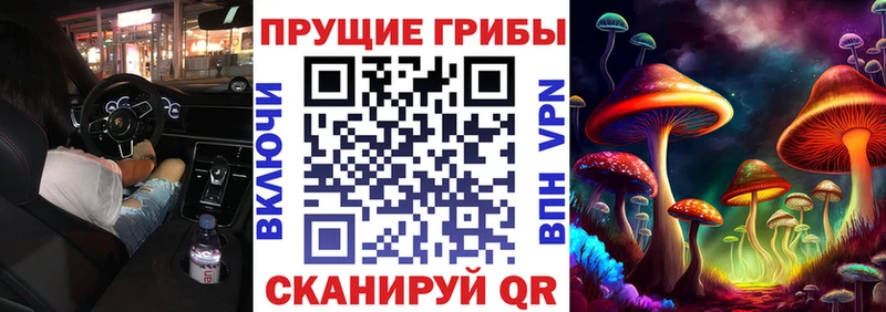 Псилоцибиновые грибы Psilocybine cubensis  Купить где  Красный Кут 